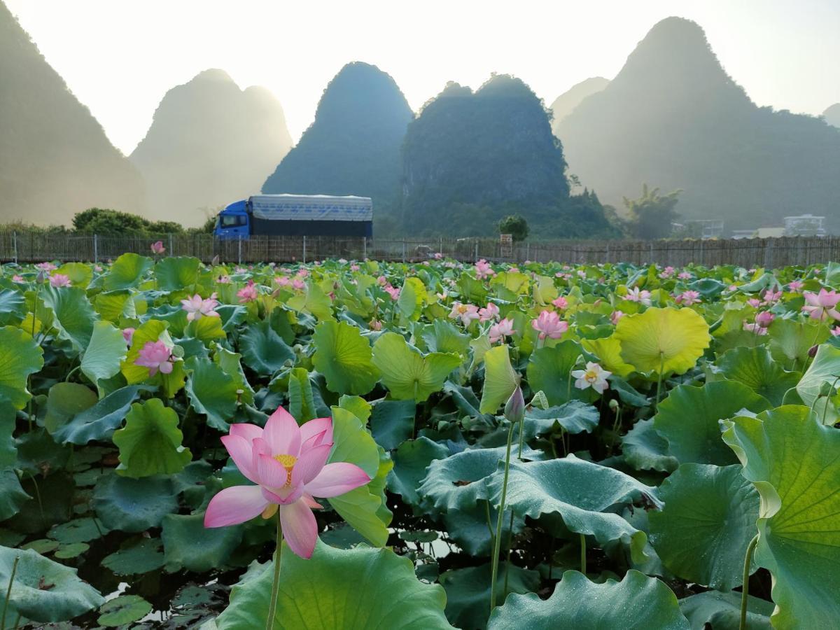 Pensjonat Yangshuo Tea Cozy Zewnętrze zdjęcie