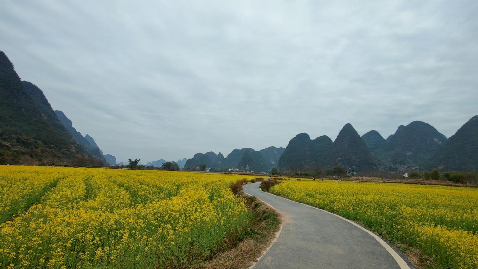 Pensjonat Yangshuo Tea Cozy Zewnętrze zdjęcie