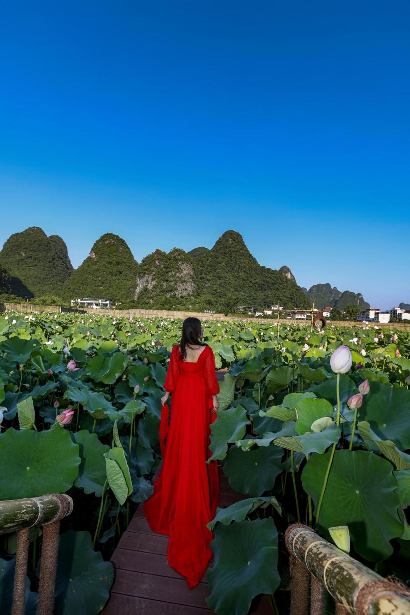 Pensjonat Yangshuo Tea Cozy Zewnętrze zdjęcie